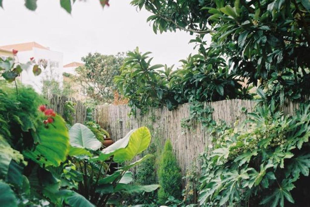 Apartment With Private Garden Porto Room photo